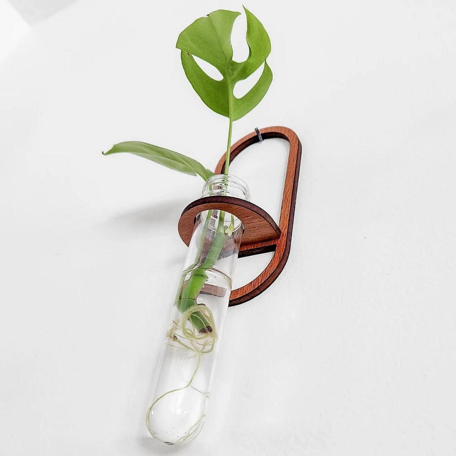Propagation Station Vase - Hydroponic Plant Vase Wooden Wall Shelf