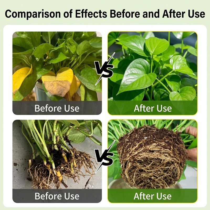 Plant Rooting Solution Rooting - Rooting Hormone Powder ulasan dan harga