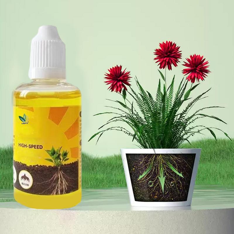 50ml Plant Root Stimulator Liq - Rooting Hormone Powder ulasan dan harga