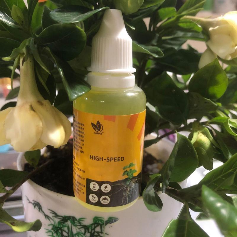 50ml Plant Root Stimulator Liq - Rooting Hormone Powder ulasan dan harga