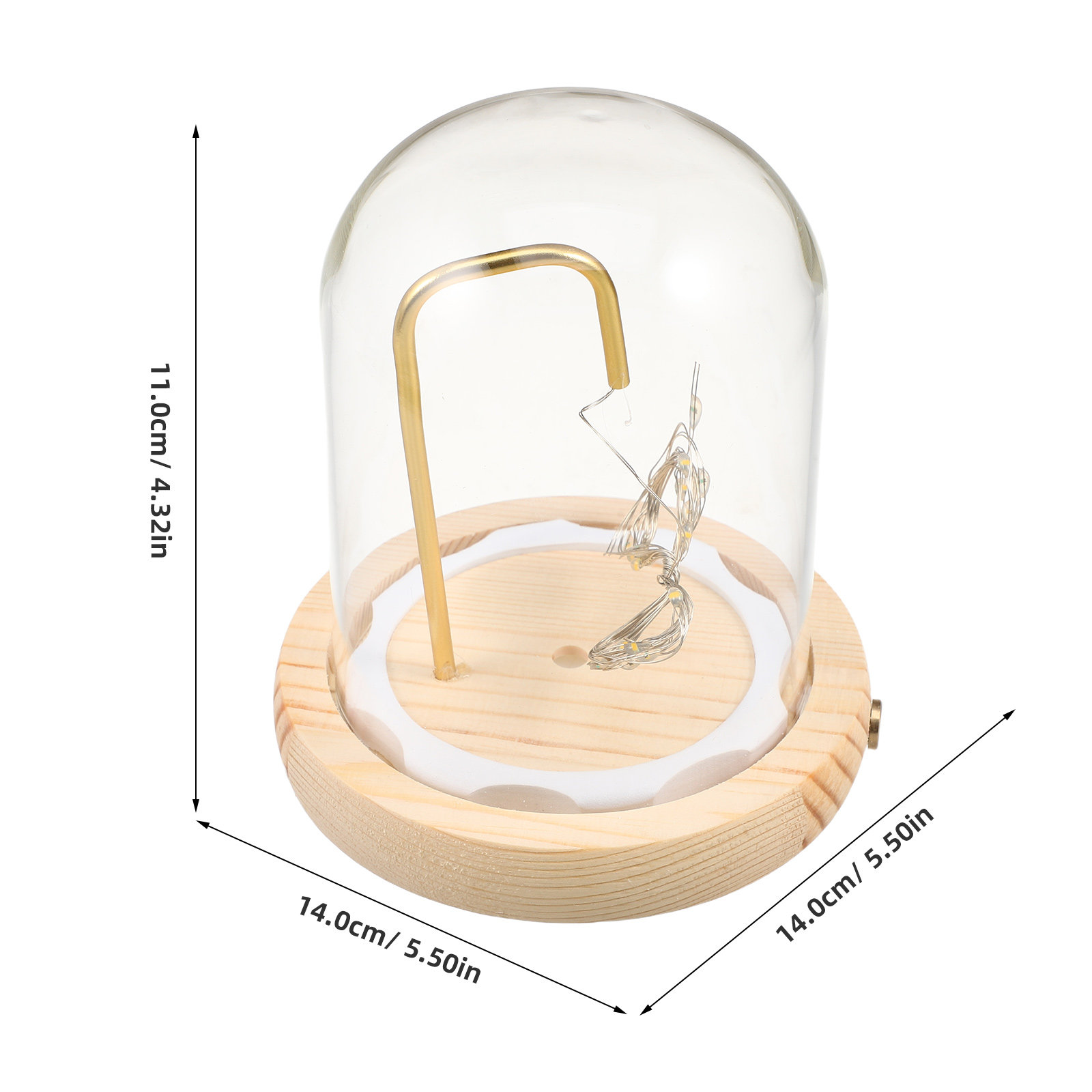 Glass Display Dome Wood Base L - Plastic Dome Clear ulasan dan harga