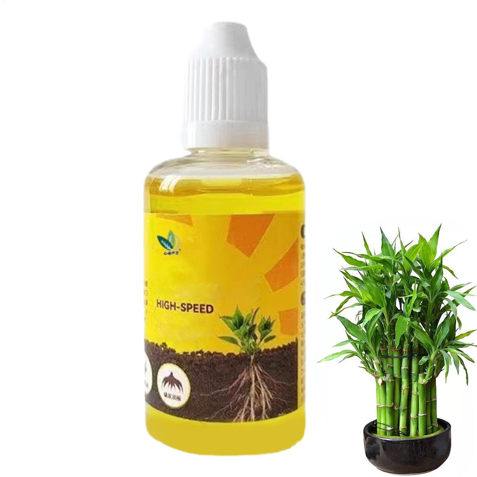 50ml Plant Rooting Stimulator  - Rooting Hormone Powder ulasan dan harga