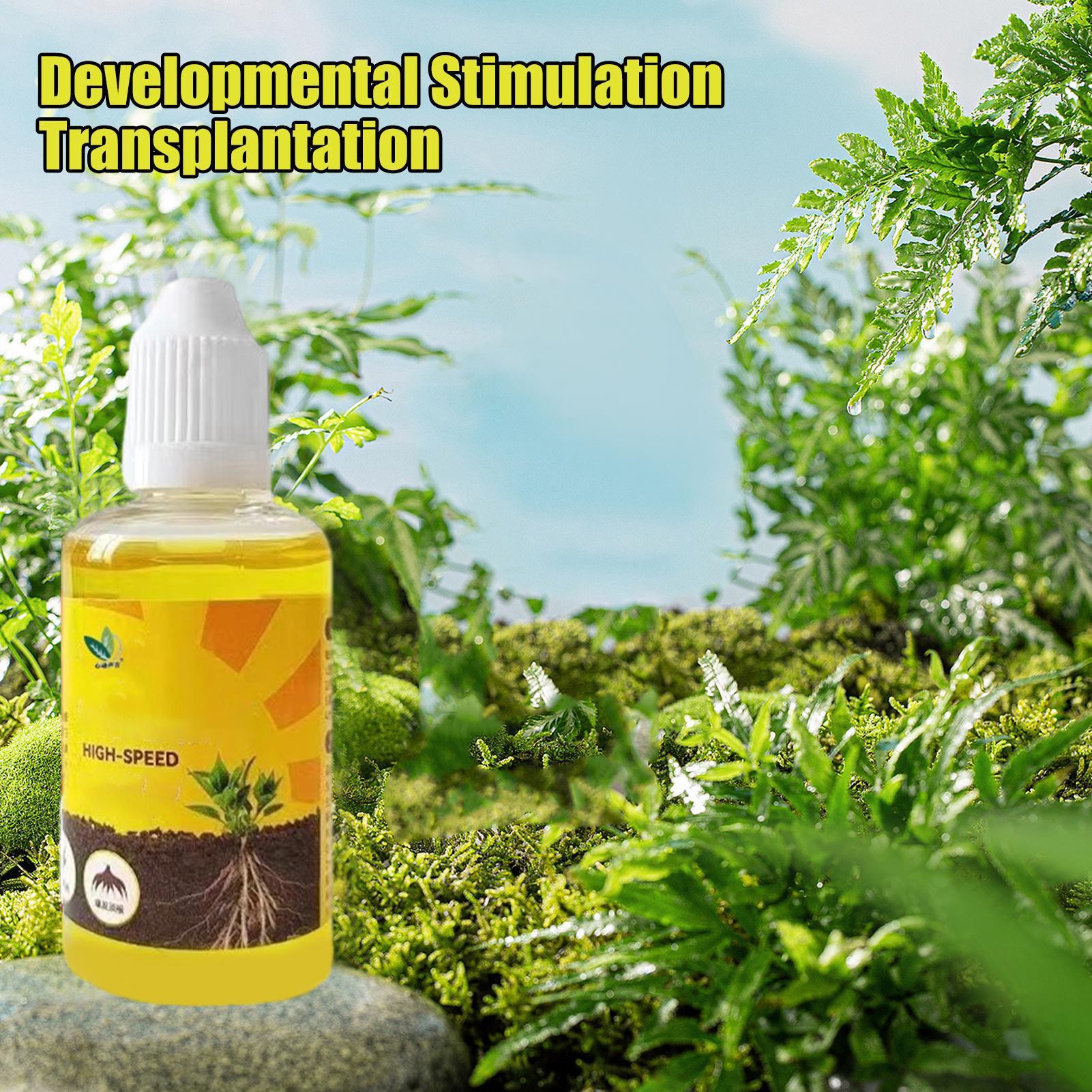 50ml Plant Rooting Stimulator  - Rooting Hormone Powder ulasan dan harga