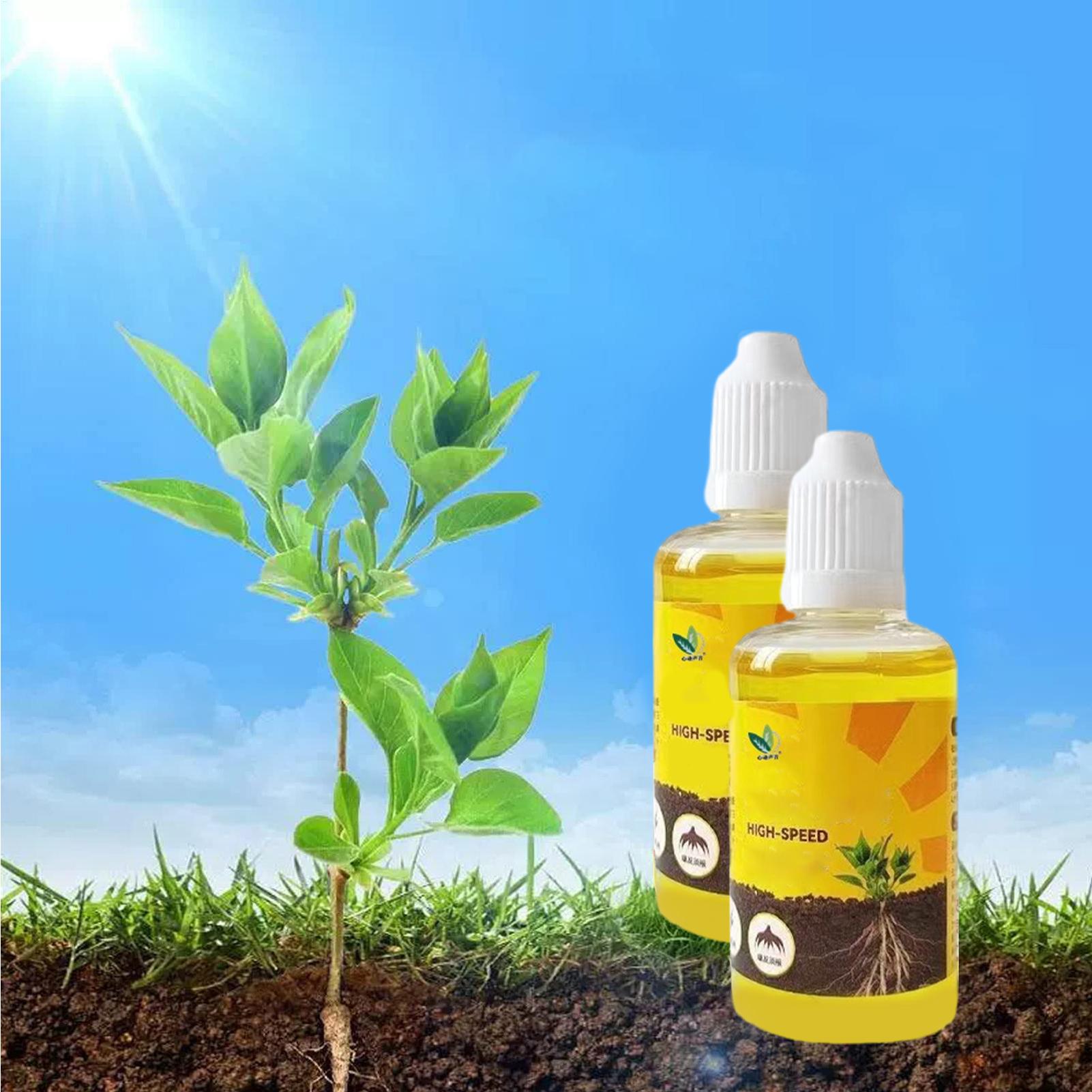 50ml Plant Rooting Stimulator  - Rooting Hormone Powder ulasan dan harga