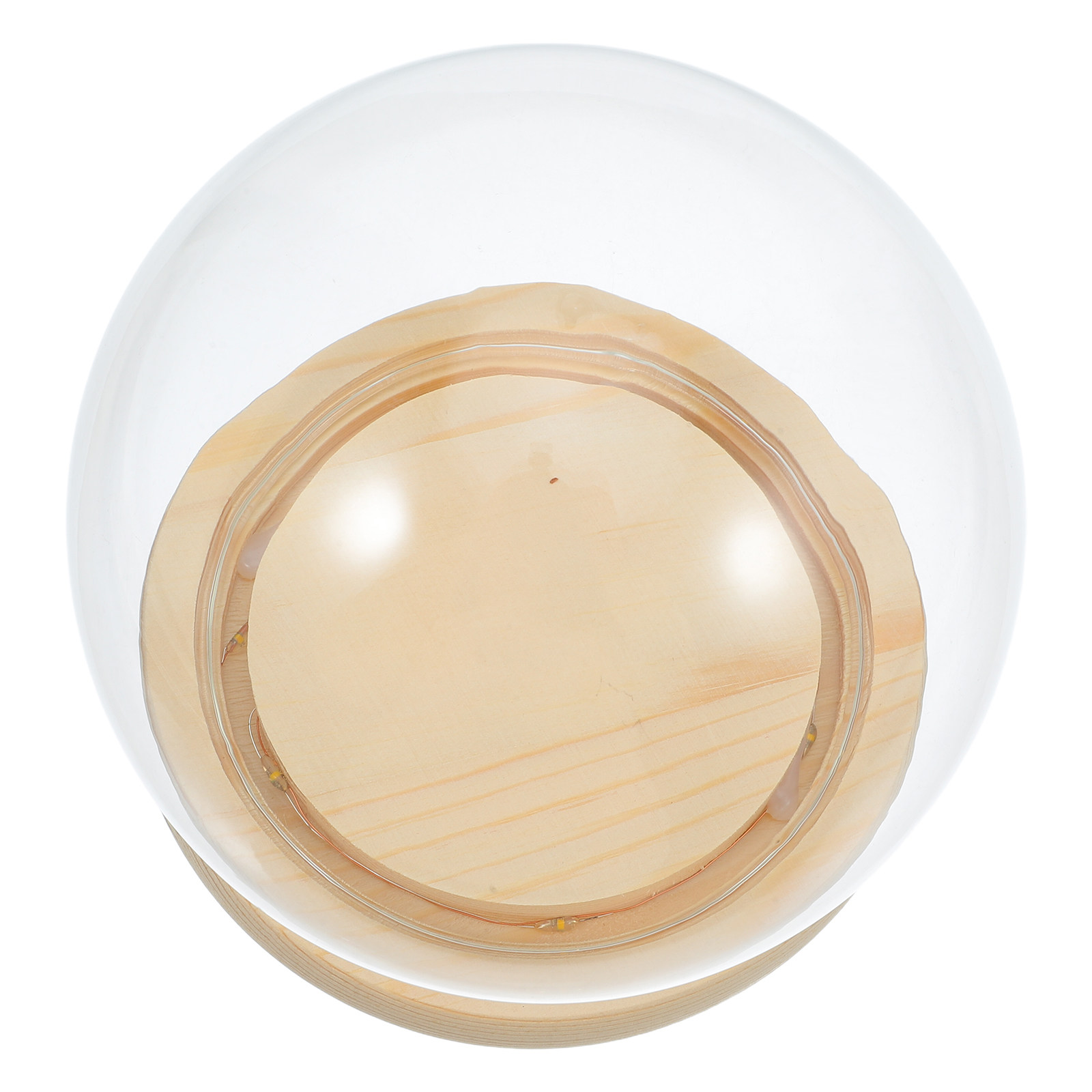 Dried Flower Glass Dome Displa - Plastic Dome Clear ulasan dan harga