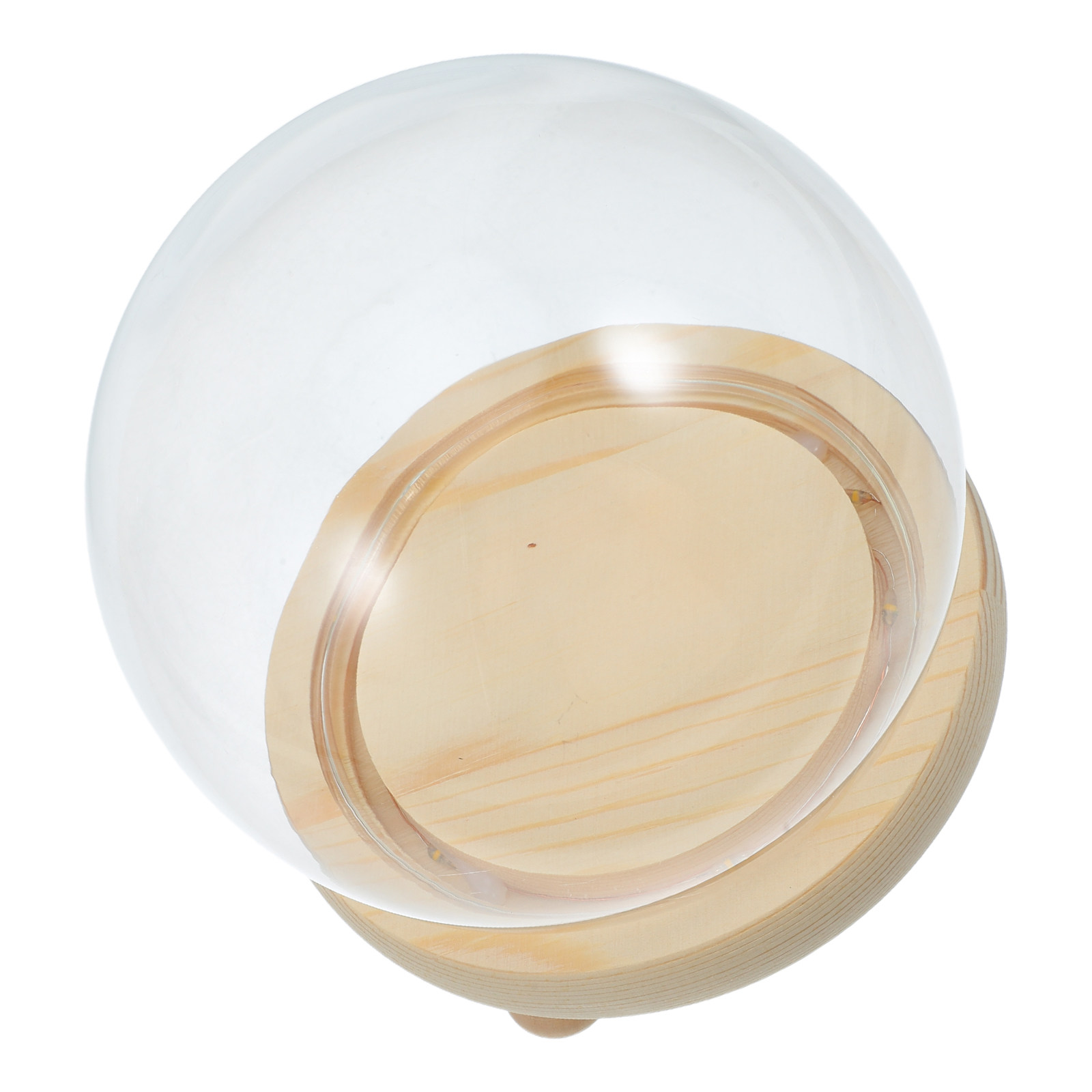 Dried Flower Glass Dome Displa - Plastic Dome Clear ulasan dan harga